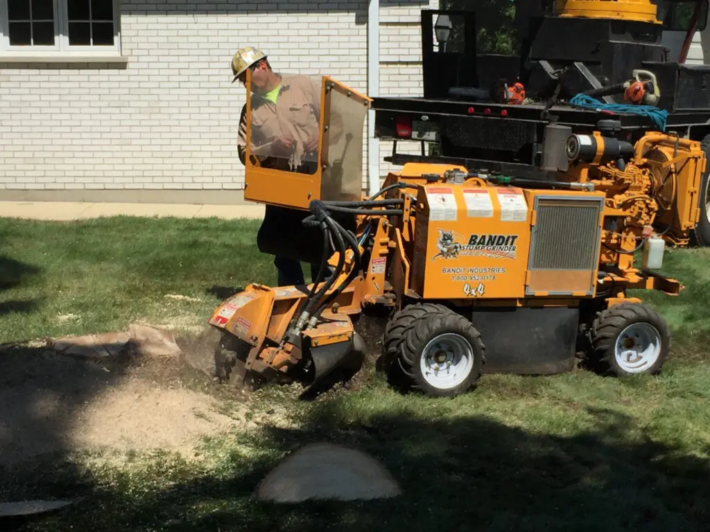 Stump Grinding